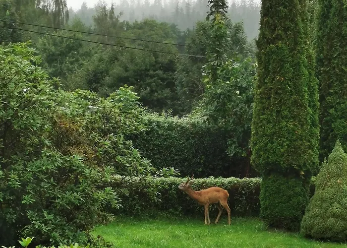 Apartment Lech Sport